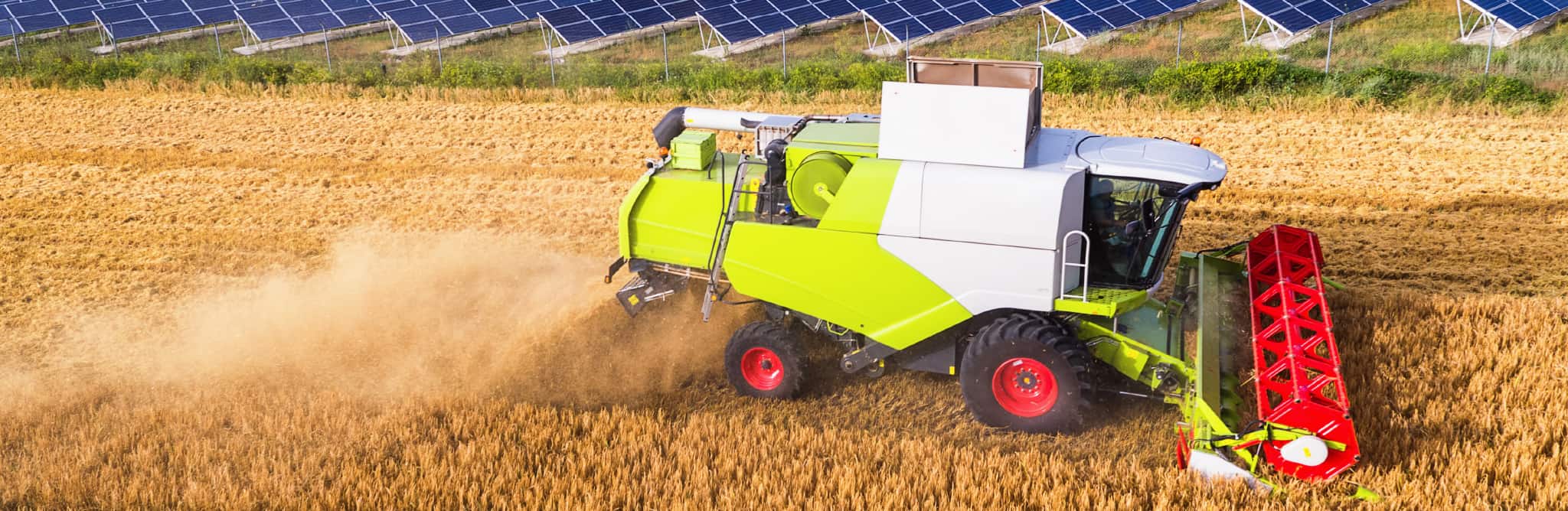 agriculture