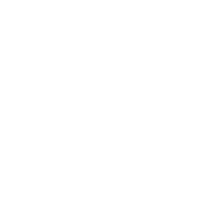 Non-Woven white