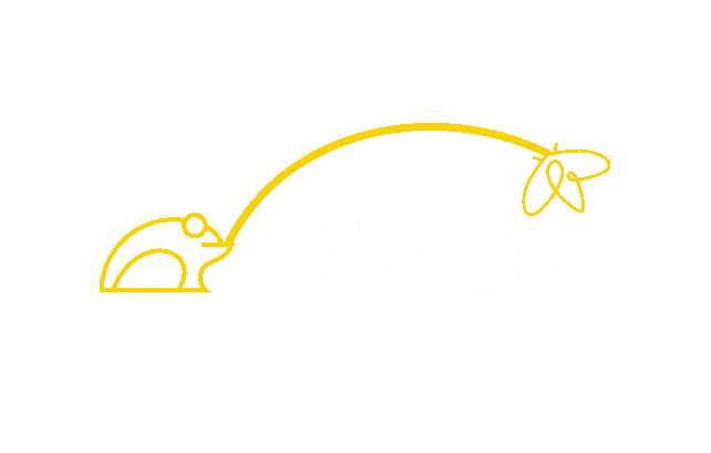 CATCHY logo