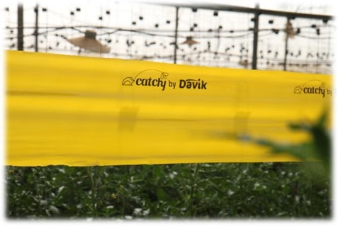 Revolutionizing Agriculture: The Role of Davik Industries in Sustainable Pest Control