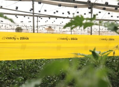 Innovative Pest Control Solutions for Farming: Focus on Rollertrap | Davik